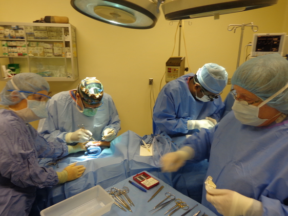 Orthopedic Surgery