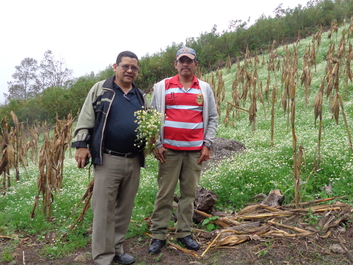 Association San Lucas Lempira sponsoerd micro-enterprise